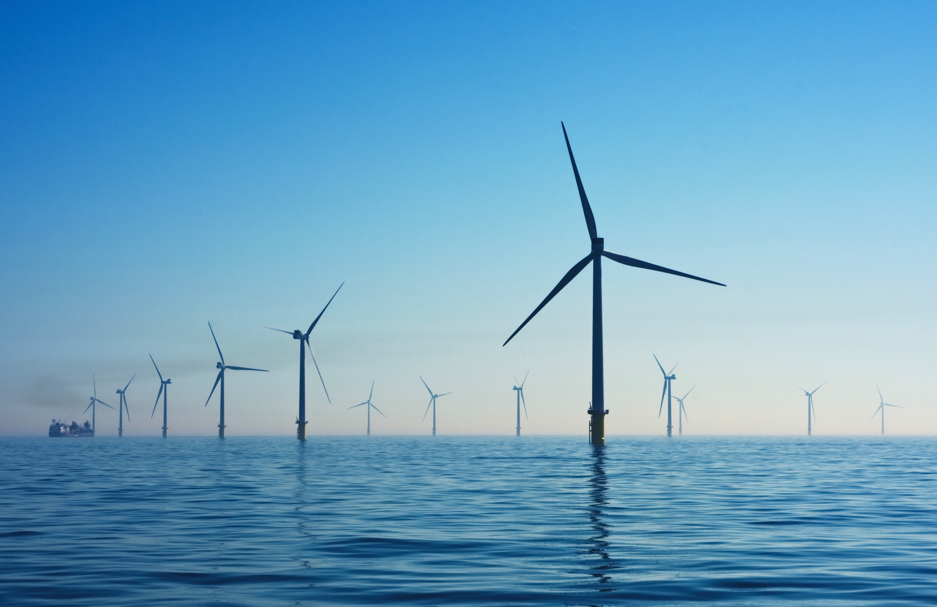 Photo of offshore windmills taken by Nicholas Doherty